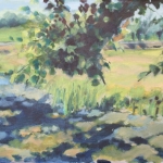 zomer in Kamerik (1)