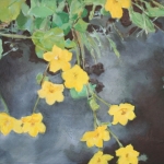 dotters aan de slootkant (2)