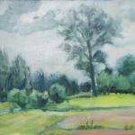 zomer in Kamerik (2)