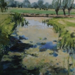 zomer in Kamerik (3)