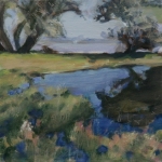 Twiske - Stooterplas 2