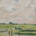 Texels landschap (1)