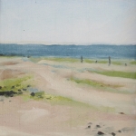 Texels landschap (2)