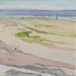 Texels landschap (3)