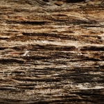 abstract van de natuur