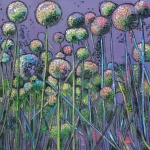 De uien van landgoed Zuylenstein