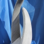 Ruwe Bolster / Blanke Pit