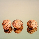 Stilleven 'Escargots'