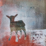 Geitje met rood en bruin