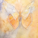 Vlinder