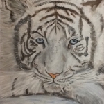 Witte tijger