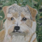 terrier hond
