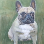 Hond Jack, Franse bulldog 