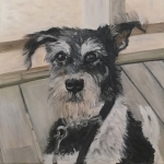 Hond Bobby (Jack Russel) 