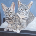 Poezen Poekie en Pluusie 