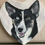 Hond Azul, Australian Shepherd