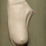 Wilde frisheid