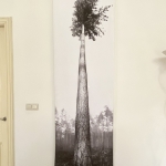 Alleenstaand | DEN