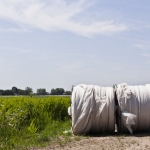 Landbouw Heense Molen 1