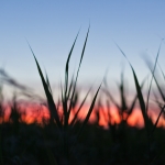 Landschap Heense Molen 1