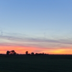 Landschap Heense Molen 2