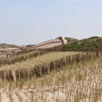 Duinen in Dishoek