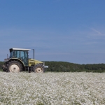Tractor in Zeeuws landschap