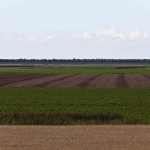 Jong, volwassen, oud 3