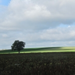 Snellandschap Frankrijk 3