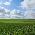 Snellandschap Frankrijk 6