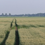 Landschap Heense Molen 5