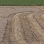 Landschap Heense Molen 6