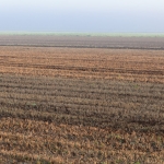 Landschap Heense Molen 7