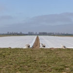 Landschap Heense Molen 10