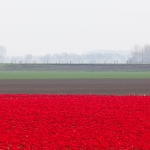 Landschap Heense Molen 11