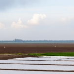 Landschap Heense Molen 12