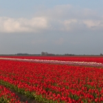 Landschap Heense Molen 13