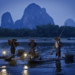 Chinese vissers met aalscholvers