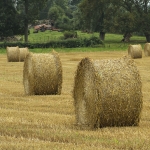 Round straw bales