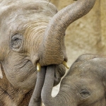 We also want something