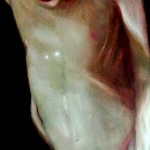 bodies 5
