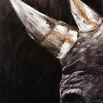 Hoorns
