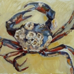 Strandkrab