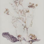 Composition with weeds 2