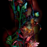 Composition with weeds 5