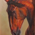 Lusitano