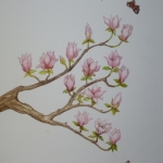 Magnoliatak