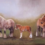 Belgische trekpaarden 