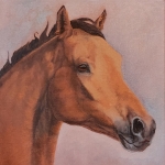 Opdracht paardenportret
