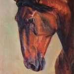 Lusitano